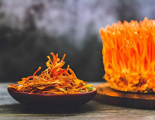 Quảng Cáo Đông Trùng Hạ Thảo